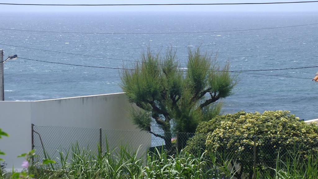Santa Cruz Ocean Apartment - II ภายนอก รูปภาพ